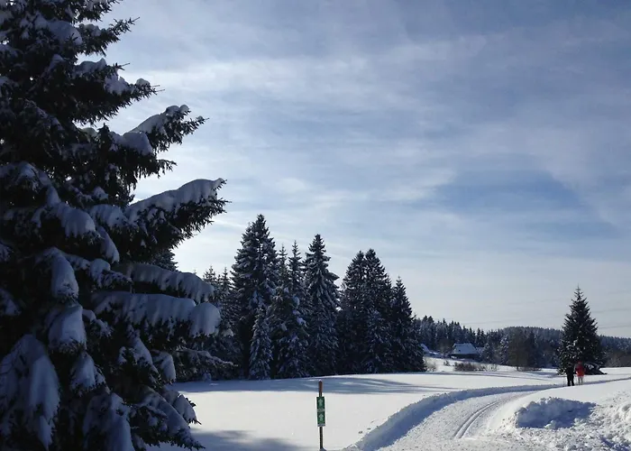 Inselklause